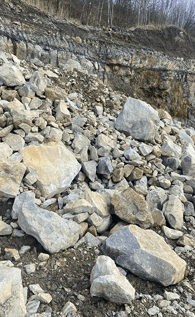 Česká drážní vlečka, s. r. o.